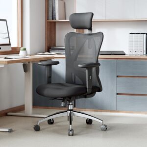 SIHOO ergonomic office chair with adjustable headrest, lumbar support, breathable mesh back, and reclining tilt for executive comfort